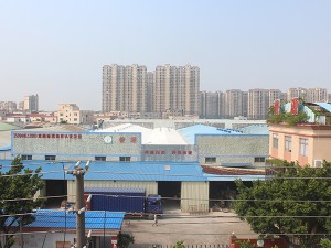 公司外景